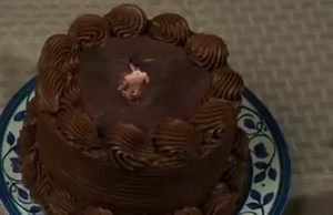 Именинница нашла голого смурфика в торте и засунула себе в пизду для удовольствия